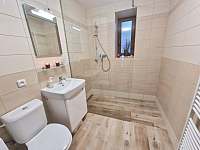 Apartmán 2 koupelna v přízemí - Nové Mitrovice - Nechanice