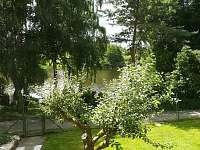 Výhled na Jesenickou přehradu z oken chaty. Přístup k vodě - přehradě, zahrada. - k pronajmutí Mechová