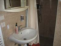 Koupelna s umyvadlem a sprchovým koutem - Plzeň - Božkov