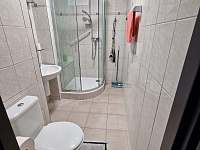 Koupelna,WC - Karlovy Vary - Stará Role